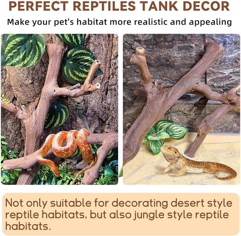 BNOSDM 2PCS Reptile Wood Branches Decor,Lizard Habitat Natural Wood Decoration,Snake Climbing Branch Accessories,Terrarium Tree Trunk Ornament for Bearded Dragon Gecko Frog Chameleon Spider in Kuwait