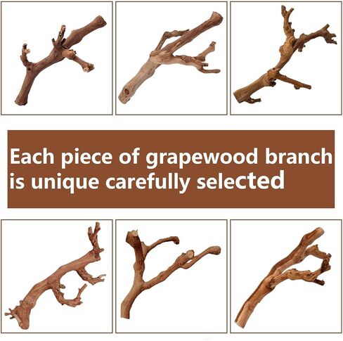BNOSDM 2PCS Reptile Wood Branches Decor,Lizard Habitat Natural Wood Decoration,Snake Climbing Branch Accessories,Terrarium Tree Trunk Ornament for Bearded Dragon Gecko Frog Chameleon Spider in Kuwait