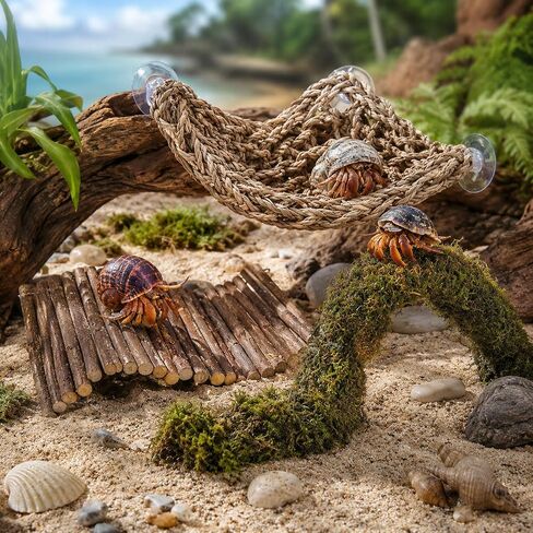 HERCCOCCI Hermit Crab Accessories, Hermit Crab Toys Flexible Climbing Bridge Reptile Hammock Habitat Decor for Hermit Crabs Leopard Geckos Crested Tortoise Snake in Saudi Arabia