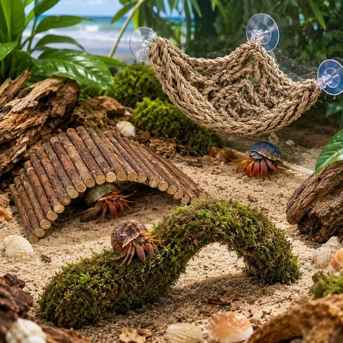 HERCCOCCI Hermit Crab Accessories, Hermit Crab Toys Flexible Climbing Bridge Reptile Hammock Habitat Decor for Hermit Crabs Leopard Geckos Crested Tortoise Snake in Saudi Arabia