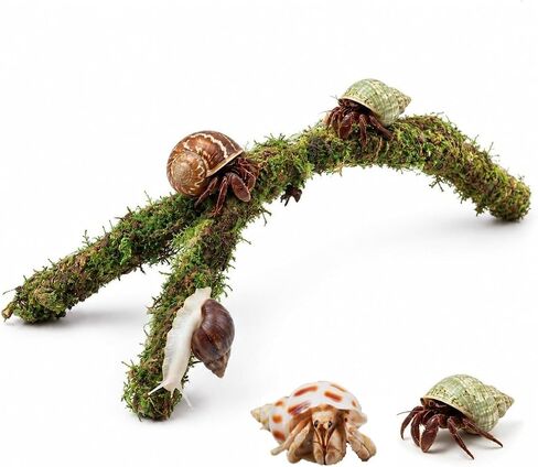 12.2 Inch Moss Vine for Hermit Crabs and Snails, Simulation Moss Rope Climbing Toy, Adjustable Terrarium Decor for Hermit Crab Habitat, Also for Leopard Gecko, Lizards, Frogs, and Small Snakes in Kuwait
