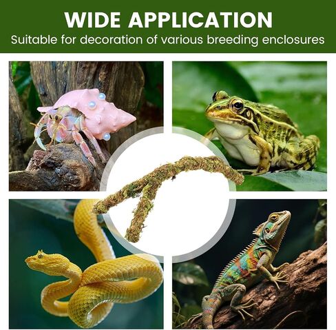 12.2 Inch Moss Vine for Hermit Crabs and Snails, Simulation Moss Rope Climbing Toy, Adjustable Terrarium Decor for Hermit Crab Habitat, Also for Leopard Gecko, Lizards, Frogs, and Small Snakes in Kuwait