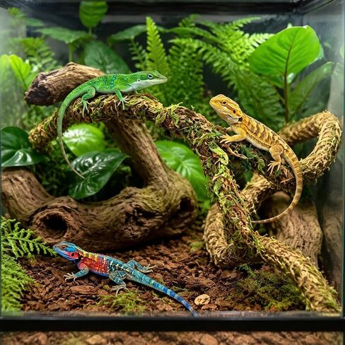 12.2 Inch Moss Vine for Hermit Crabs and Snails, Simulation Moss Rope Climbing Toy, Adjustable Terrarium Decor for Hermit Crab Habitat, Also for Leopard Gecko, Lizards, Frogs, and Small Snakes in Kuwait