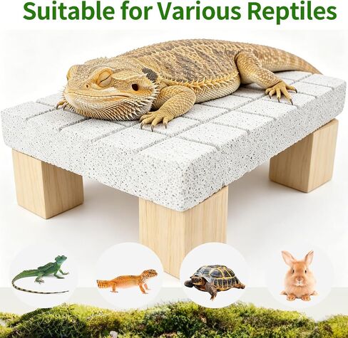 Bearded Dragon Tank Accessories Shedding Rock Reptile Basking Platform in Saudi Arabia
