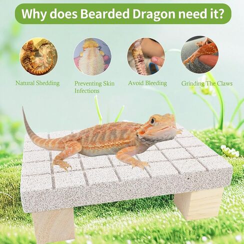 Bearded Dragon Tank Accessories Shedding Rock Reptile Basking Platform in Saudi Arabia