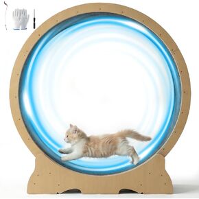 Cat Wheel for Indoor Cats, 48 Inch Diameter Exercise Running Wheel in Kuwait