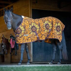 Jeffers Expression Fleece Cooler للخيول، رقبة قياسية، حديقة الورود 84 بوصة - بطانية منشفة للخيول، ماصة للرطوبة، خفيفة الوزن، أفضل للتجفيف، التمرين، الاستحمام، أشرطة بطن قابلة للتعديل in Saudi Arabia