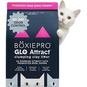 Boxie Probiotic Clumping Cat Litter 40+ Day Odor Control Dust Free 16 lb in Kuwait