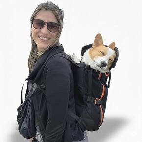 Little Chonk Maxine One Dog Backpack Carrier for Medium Dogs (Black) in Kuwait