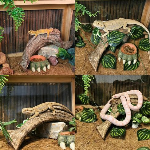 Tfwadmx Reptile Branches, Natural Reptile Corner Climbing Branch, Snake Climbing Branch Chameleon Cage Accessories Terrarium Plant Decoration for Gecko Snake Bearded Dragon (13 Inch) in Kuwait