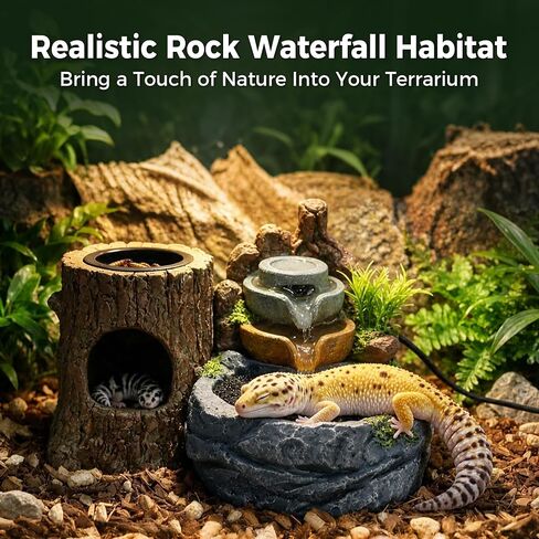 3-in-1 Reptile Water Fountain 550ML with Food Dish & Hideout in Kuwait