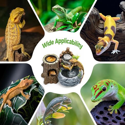 3-in-1 Reptile Water Fountain 550ML with Food Dish & Hideout in Kuwait