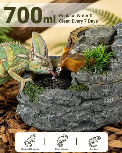 Reptile Water Fountain 700ML with Food Dish for Geckos, Bearded Dragons in Saudi Arabia