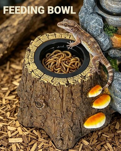 Reptile Water Fountain 700ML with Food Dish for Geckos, Bearded Dragons in Saudi Arabia