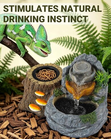 Reptile Water Fountain 700ML with Food Dish for Geckos, Bearded Dragons in Saudi Arabia