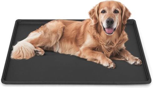 BOWHAUS 28.9-Inch Dog Crate Pan Replacement, Sturdy, Waterproof Plastic Tray for 30-Inch Pet, Rabbit Ferret Critter Kennels, Versatile Pan and Easy to Clean in Kuwait