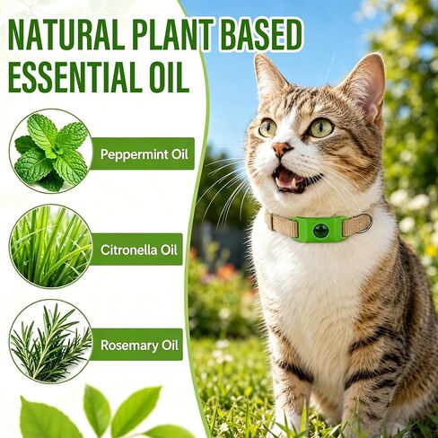 Natural Cat Tag for Flea & Tick Prevention, 1Pcs with 3Refill,Green in Kuwait