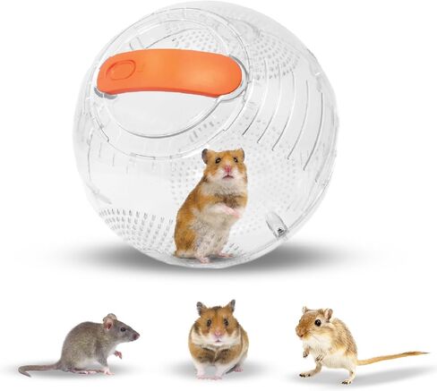 Roam Ring Accessory – Pet Hamster Accessories in Saudi Arabia