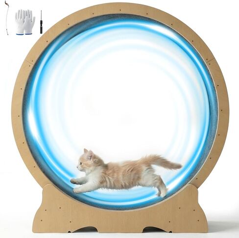Cat Wheel for Indoor Cats, 48 Inch Diameter Exercise Running Wheel in Kuwait