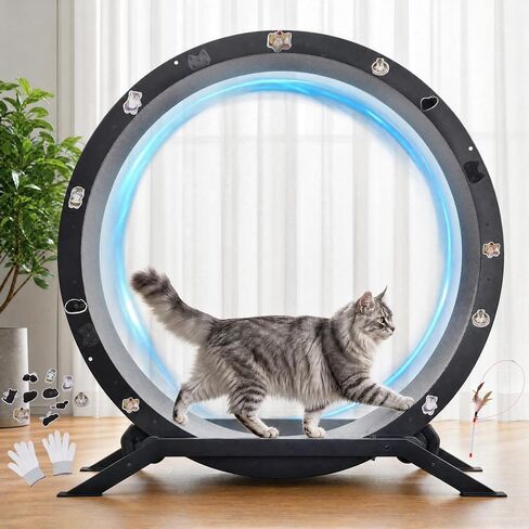 GTPLAYER Cat Wheels, 40" Diameter, Large Cat Exercise Wheel for Indoor Cats cat Treadmill Metal with Detachable Carpet & Teaser/Stickers, Ultra-Quiet Scroll Wheel with Latch, Stable, Black-Grey in Kuwait