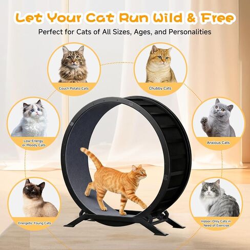 GTPLAYER Cat Wheels, 40" Diameter, Large Cat Exercise Wheel for Indoor Cats cat Treadmill Metal with Detachable Carpet & Teaser/Stickers, Ultra-Quiet Scroll Wheel with Latch, Stable, Black-Grey in Kuwait