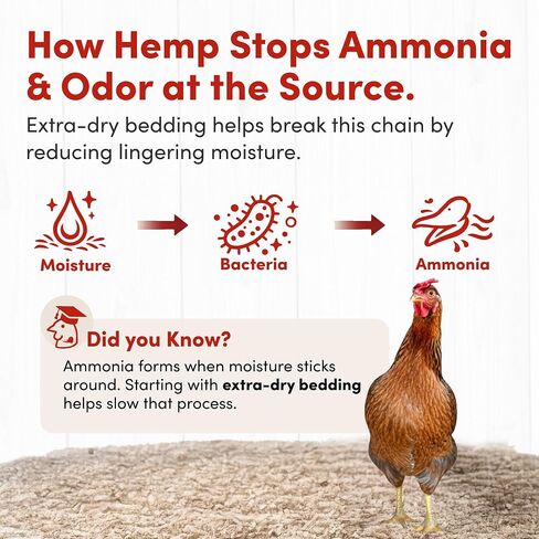 RentACoop Premium Hemp Bedding for Chickens, Rabbits, Horses - 300L (30lbs) in Kuwait