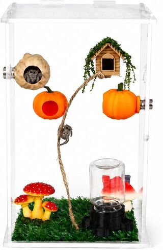 4 Pack Jumping Spider Enclosure Accessories Jumping Spider Hide with Pumpkin Walnut Spider Hide, Spider House with Climbing Rope Magnetic Spider Enclosure Decor for Spider Terrarium in Saudi Arabia