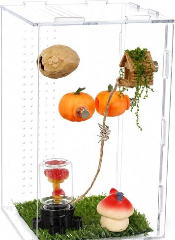 4 Pack Jumping Spider Enclosure Accessories Jumping Spider Hide with Pumpkin Walnut Spider Hide, Spider House with Climbing Rope Magnetic Spider Enclosure Decor for Spider Terrarium in Saudi Arabia
