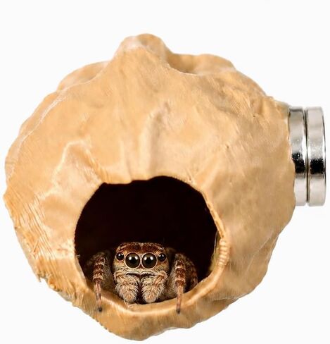 4 Pack Jumping Spider Enclosure Accessories Jumping Spider Hide with Pumpkin Walnut Spider Hide, Spider House with Climbing Rope Magnetic Spider Enclosure Decor for Spider Terrarium in Saudi Arabia