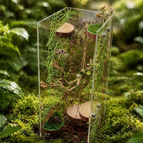 Jumping Spider Enclosure Accessories Kit, Simulation Insect Habitat Decor in Kuwait