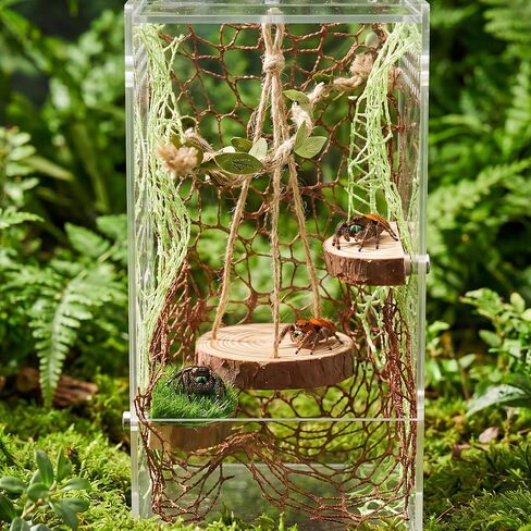 Jumping Spider Enclosure Accessories Kit, Simulation Insect Habitat Decor in Kuwait