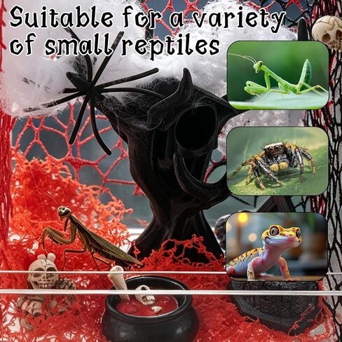 16 Pcs Jumping Spider Habitat Decor Kit with Terrarium, Reptile Accessories in Saudi Arabia