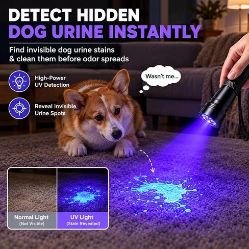 2 Pack 395nm 12 LED Handheld UV Mini Flashlight (Batteries not Included) in Saudi Arabia