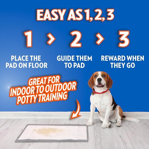 OUT! PetCare XXL Puppy Pads, Heavy Duty Pee Pads for Dogs, 26x30, 30 Count in Saudi Arabia
