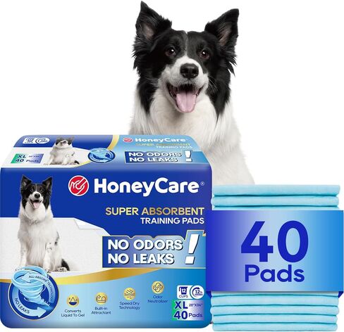 Honey Care All-Absorb, Small 17.5" x 23.5", 120 Count, Dog and Puppy Training Pads, Ultra Absorbent and Odor Eliminating, Leak-Proof 5-Layer Potty Training Pads with Quick-Dry Surface, Blue, A05 in Kuwait