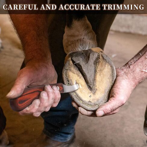 Hoof Knife for Horses with Sharpener, Double-Edge Loop Knife for Farriers in Kuwait