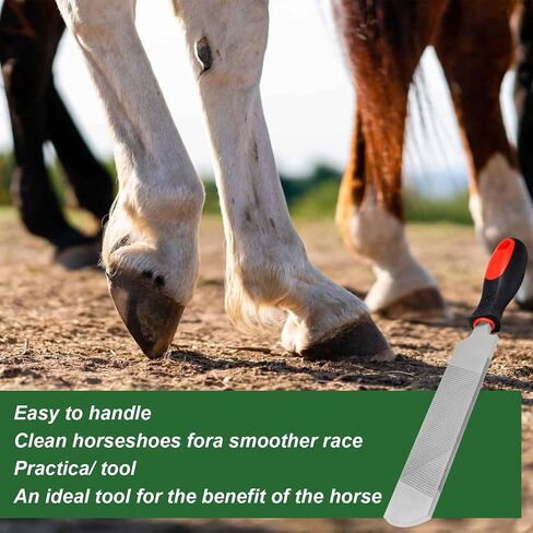 12 Inch Hoof Rasp, Carbon Steel Farrier File with Handle in Saudi Arabia
