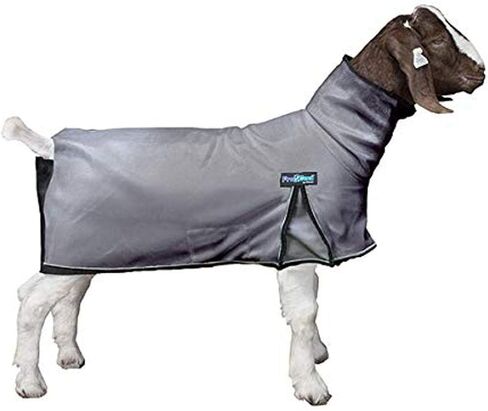 ProCool™ Goat Blanket with Reflective Piping, Large, Gray in Kuwait