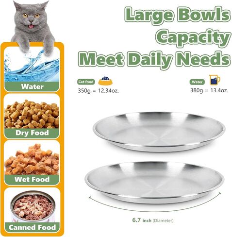 4-Pack Stainless Steel Cat Food Bowls, Whisker-Friendly Plates in Kuwait