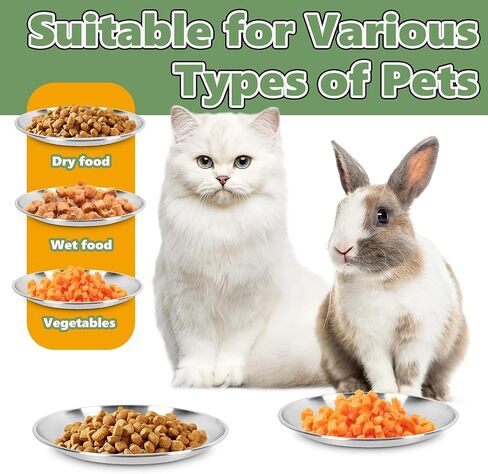 4-Pack Stainless Steel Cat Food Bowls, Whisker-Friendly Plates in Kuwait