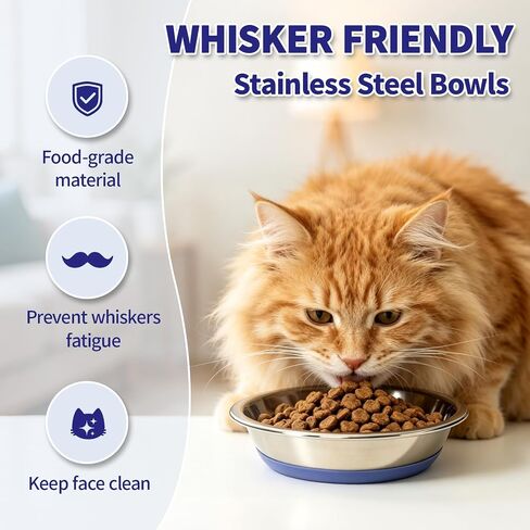 3 Pack Stainless Steel Cat Bowls, Cat Dishes Whisker Friendly with Non-Slip Silicone Bottom, Easy to Clean, 5.5" Shallow Wide Cat Food and Water Feeding Bowl for Indoor Outdoor Cats in Saudi Arabia