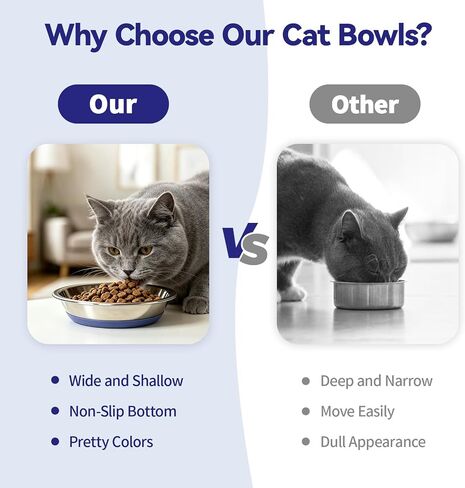 3 Pack Stainless Steel Cat Bowls, Cat Dishes Whisker Friendly with Non-Slip Silicone Bottom, Easy to Clean, 5.5" Shallow Wide Cat Food and Water Feeding Bowl for Indoor Outdoor Cats in Saudi Arabia