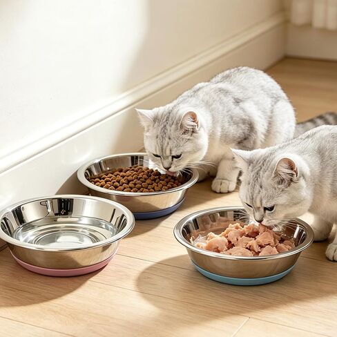 3 Pack Stainless Steel Cat Bowls, Cat Dishes Whisker Friendly with Non-Slip Silicone Bottom, Easy to Clean, 5.5" Shallow Wide Cat Food and Water Feeding Bowl for Indoor Outdoor Cats in Saudi Arabia