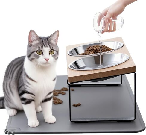 Upgraded Elevated Cat Bowls with Food Mat,15°Tilted Stand Anti Vomiting Raised Cat Dishes for Food and Water,2 Stainless Steel Bowls for Cats and Puppy in Kuwait