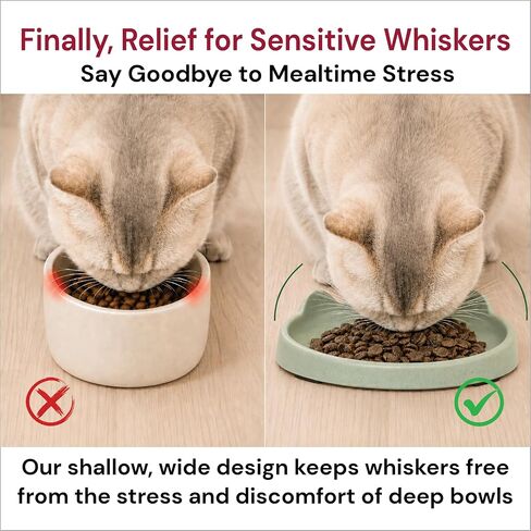 7 Ruby Road Shallow Cat & Kitten Food Bowls, Whisker Friendly, Set of 2 in Saudi Arabia