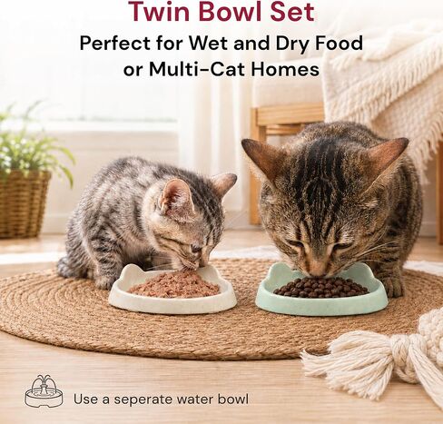 7 Ruby Road Shallow Cat & Kitten Food Bowls, Whisker Friendly, Set of 2 in Saudi Arabia