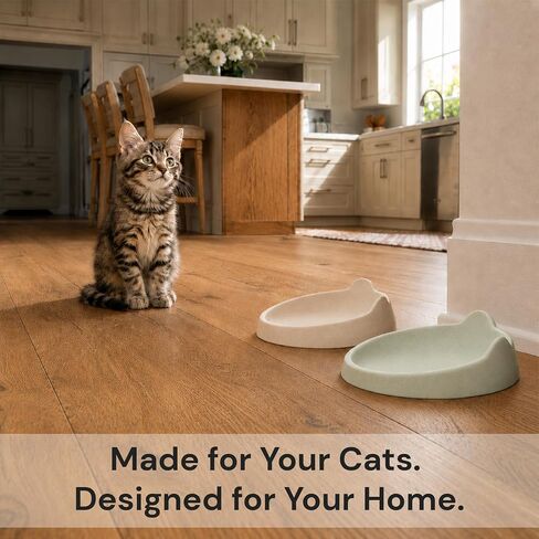 7 Ruby Road Shallow Cat & Kitten Food Bowls, Whisker Friendly, Set of 2 in Saudi Arabia