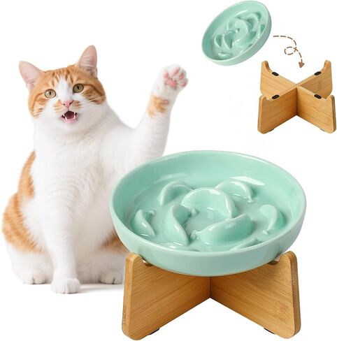 Ceramic Slow Feeder Cat Bowl, 6.3'' Wide Whisker Friendly Cat Puzzle Feeder in Kuwait