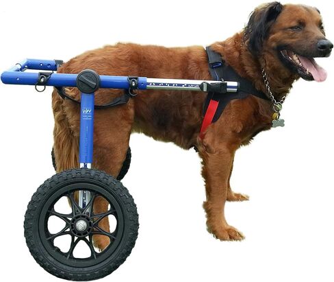 Walkin' Wheels Dog Wheelchair - for Large Dogs 70-180 Pounds - Veterinarian Approved - Dog Wheelchair for Back Legs in Kuwait