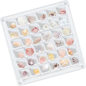 High-Transparency Acrylic Magnetic Display Box – 64-Grid Magnetic Organizer for Your Precious Collectibles, Perfect for Seashells, Gems, Pins, Starfish, Beach Souvenirs, and Mini Collections